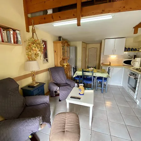 T2 Mezzanine A 300m De La Avec Jardin, Ideal Famille, Parking, Animaux Acceptes - Fr-1-795-37 Villa