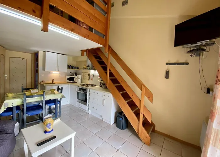 T2 Mezzanine A 300m De La Avec Jardin, Ideal Famille, Parking, Animaux Acceptes - Fr-1-795-37 Villa *