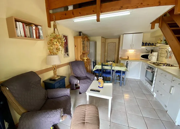 T2 Mezzanine A 300m De La Avec Jardin, Ideal Famille, Parking, Animaux Acceptes - Fr-1-795-37 Villa