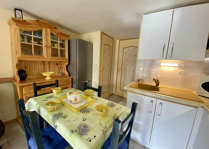 T2 Mezzanine A 300m De La Avec Jardin, Ideal Famille, Parking, Animaux Acceptes - Fr-1-795-37 *